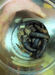 is there tobacco in joints Secondhand marijuana smoke can cause range of detectable effects, study finds is there tobacco in joints Secondhand marijuana smoke can cause range of detectable effects, study finds